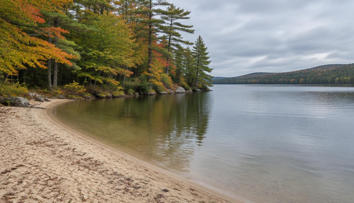 A lake view in Poland, Maine